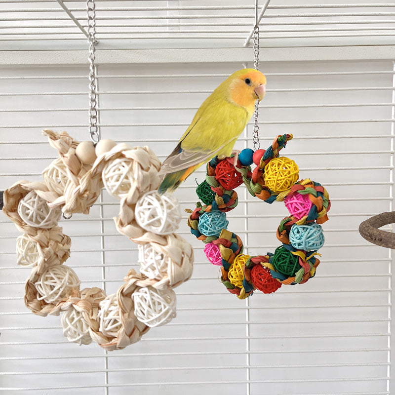 Personality Bird Cage Parrot Ring Decoration