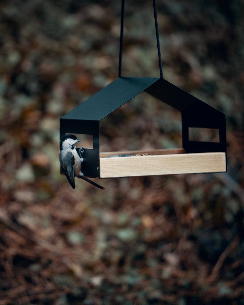 Outdoor Garden Hanging Bird Feeder Decoration