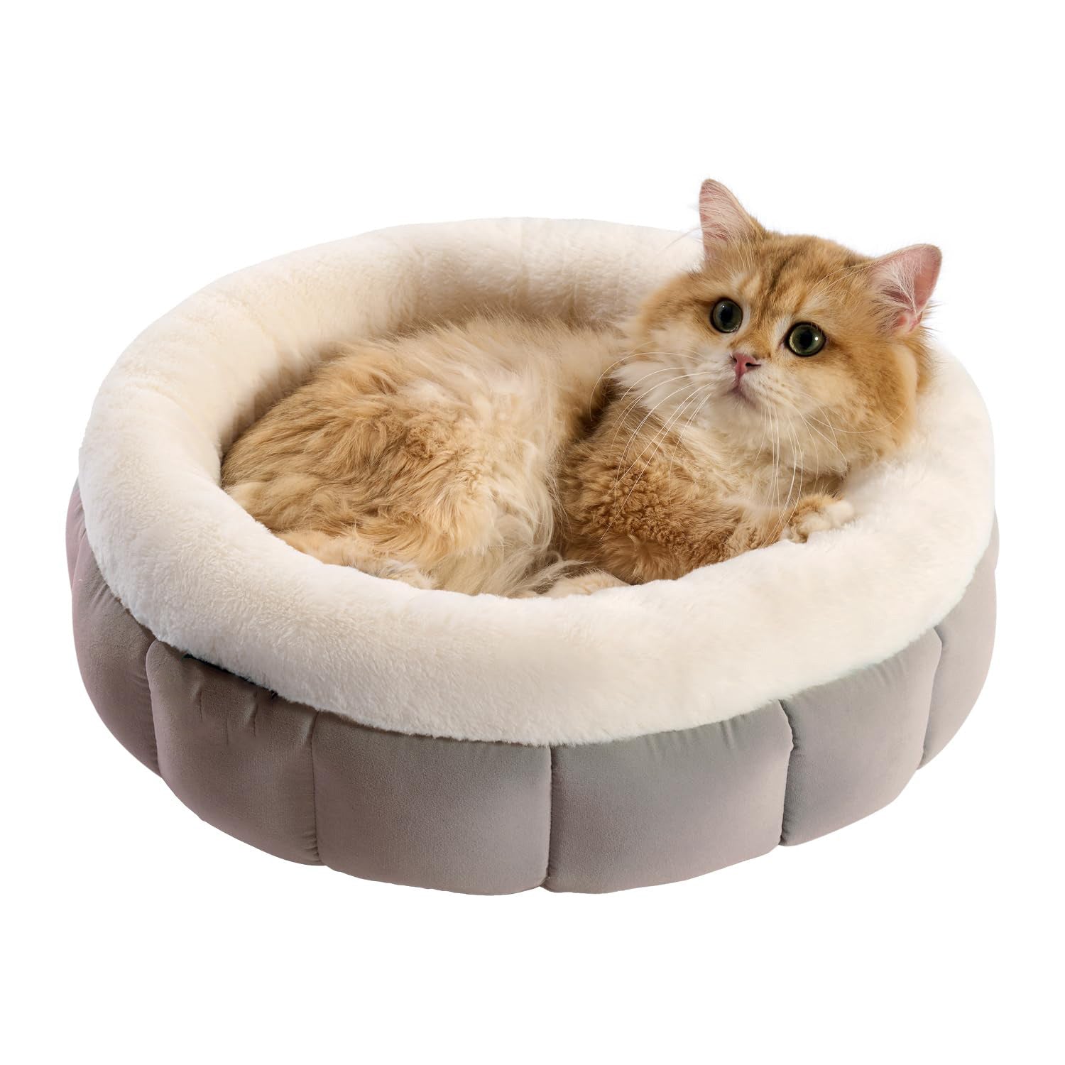 Pet Donut Round Bed Washable Anti Slip Comfort Sleeping Mat