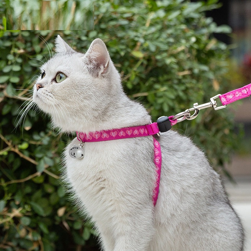 Pet Bell Chest Strap Vest Leash Harness Rope