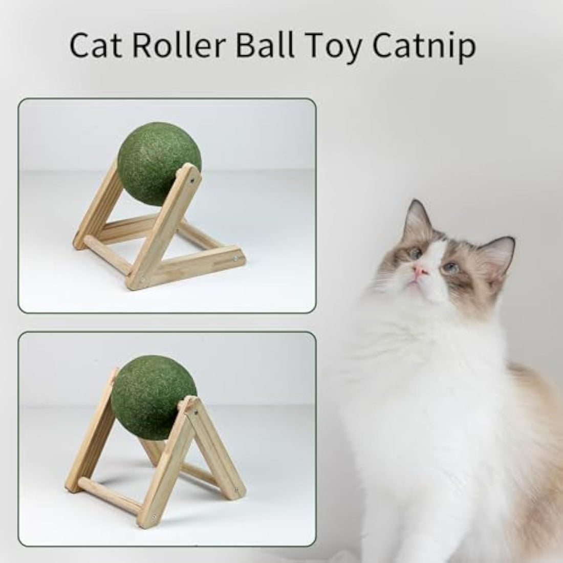 Pet Catnip Ball Toy With Holder Safe Indoor Exercise Toy